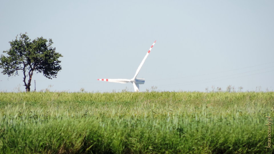 Elektrownia wiatrowa w polu