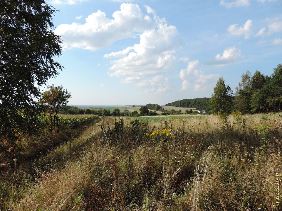 Widok z okolicy Wieży Ariańskiej koło Krasnegostawu, wieś Krynica gm. Krasnystaw