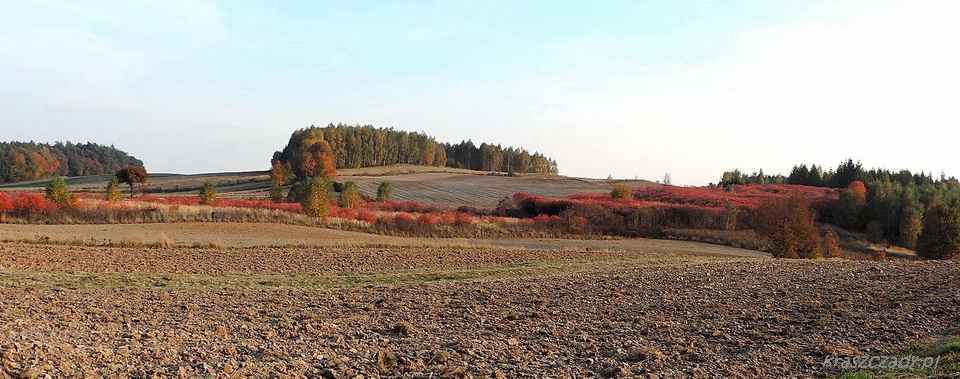 panorama, Kraszczady, wieś Olesin, pagóry
