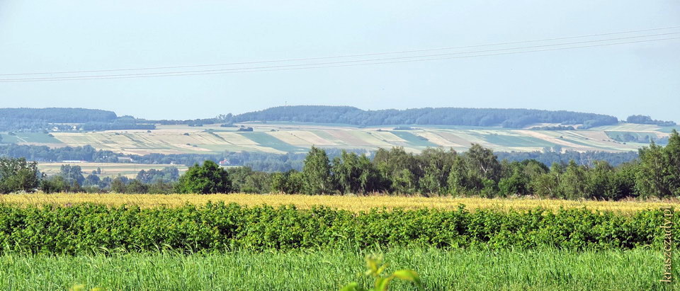 Gmina Krasnystaw, okolice wsi Krynica i Krupe