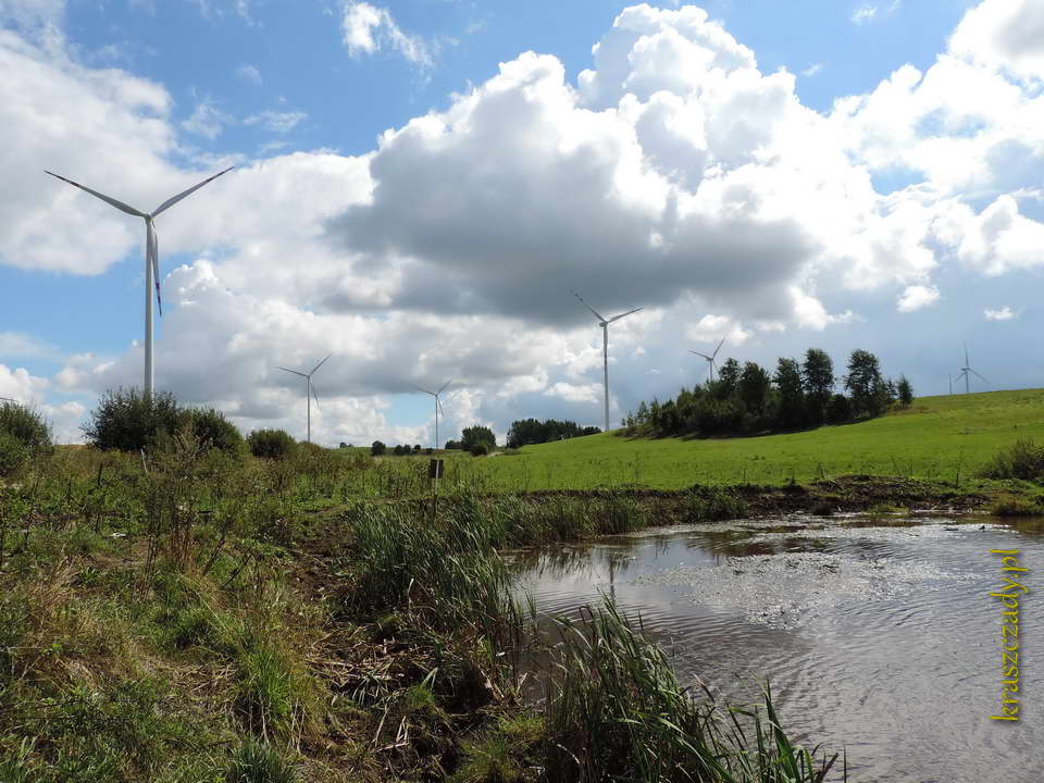 Elektrownie wiatrowe, okolice wsi Suczki i Wronki Wielkie w gminie Gołdap, powiat gołdapski, województwo warmińsko-mazurskie, zdjęcia z sierpnia 2013 roku