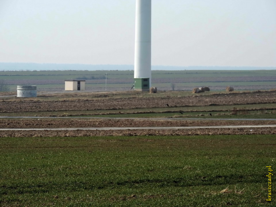 Otoczenie drugiej elektrowni wiatrowej w Żółkiewce