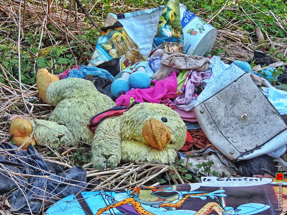 przytulanka kaczor na wysypisku śmieci w lesie